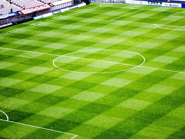 足球場人工草坪